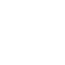 icon2